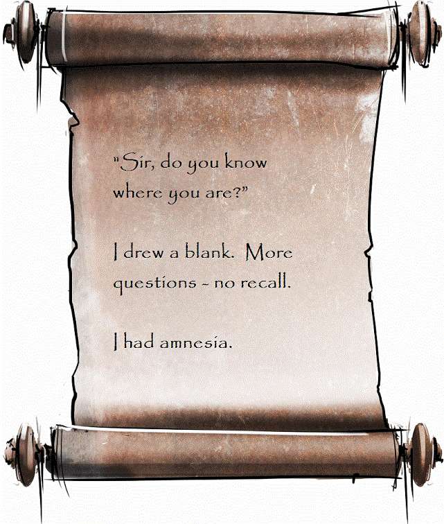 'Sir, do you know where you are?'
I drew a blank.  More questions - no recall.  I had amnesia.